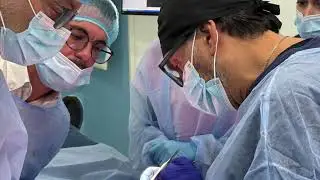 🇮🇹 Biconstore.com 🇮🇹 Short Academy | I corsi di osservazione clinica Bicon Short del Dr Carelli