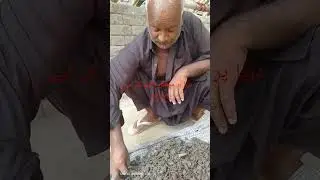 Spices to catch fish on the river #punjabicomedy #fishfood #todayriver #ustadrashidpapo #foryoypage