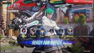 -New- Dva Skin 