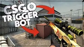 When People Think You're Using Triggerbot/Cheating