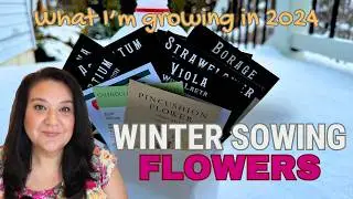 Winter Sowing: Flowers That Will Fill Your Garden, My 2024 List