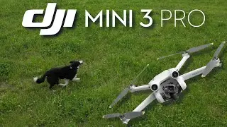 DJI Mini 3 Pro: Un petit vol après le boulot ?