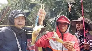 TRIP MANCING UDANG DI 3 SUNGAI - (SUNGAI RAMPOK, SUNGAI PALONG & SUNGAI BALOK) 