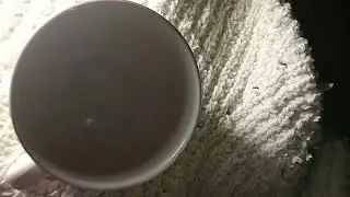 Potato chips and dip