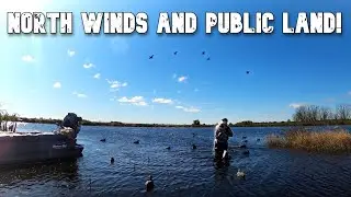 Duck Hunting a NORTH WIND in a PUBLIC MARSH!