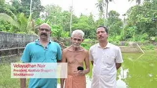Technology of protecting ponds from Algae growth by employing Grass carp fish