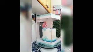 Frozen Cake - DIY tall cake box - Tall Cake Gift Box | PVC Buy empty gift box Online Best Price
