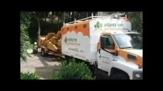Atlanta Tree Professionals Tree Removal Services 404-644-8733