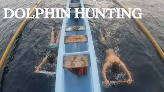 24th Birthday swimming with dolphins in BALI
