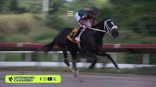 RACE 2 - 17/JANUARY/2026 (MINISTER MOON)