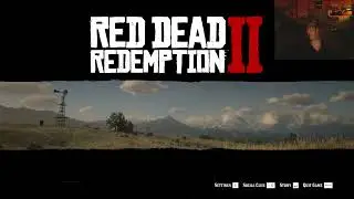 Red Dead Redemption 2 First Playthrough! part 22 Full VOD!