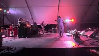 Dead Milkmen (1) @ Muddy Roots Music Festival Cookeville, TN 9/2/23