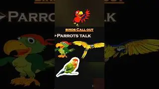 Birds Call| #shorts #viral #short #trending #youtubeshorts #ytshorts #shortvideo
