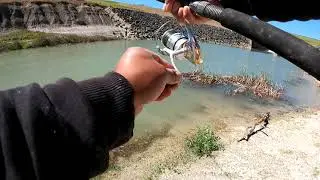 Fishing for Smallmouth Buffalo - Texas