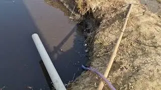 cleaning of Pig farm waste water