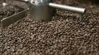 Freshly Roasted Coffee In The Cooling Tray