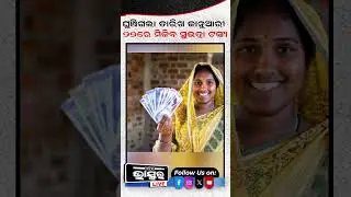 ଏହିଦିନ ମହିଳାଙ୍କୁ ମିଳିବ ସୁଭଦ୍ରା ଟଙ୍କା  #ytshorts #shortsvideo #subhadrayojana #govtscheme