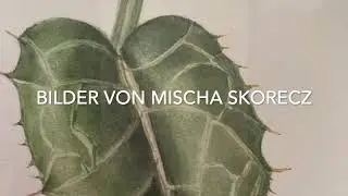 BUCHTRAILER Eine Geschichte in Wei&szlig;   SD 480p