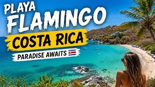 COSTA RICA BEST ALL INCLUSIVE BEACH HOTELS IN PLAYA FLAMINGO - Travelers favorite destination!