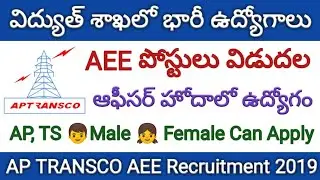 AP TRANSCO AEE Recruitment Notification 2019 | AP TRANSCO Assistant Executive Engineer Posts