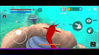 Shark video