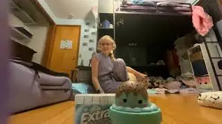 Hobby Lobby/Walmart unboxing video 