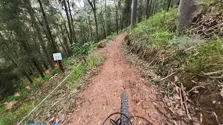Awaba MTB - Monkey Chase Trail | Linking Faulk Line to Monkey Downhill!