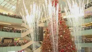 2 North Texas malls rank among the best malls in the U.S. that 'elevate the shopping experience'