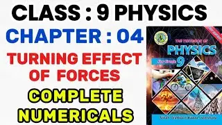 Class 9 Physics | Chapter 4 | Turning Effect Of Forces | Complete Numericals | Sindh Board