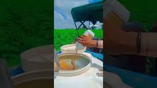 Kheti baadi #indianfarmars #indianfarmer #indiafarmar #indianoccupation #vlog #indainfarmer #indianp