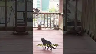 Парадоксальный Бог