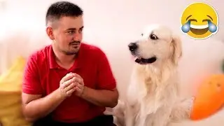 Funny Dog Reaction to Different Human Sounds [BEST REACTION]