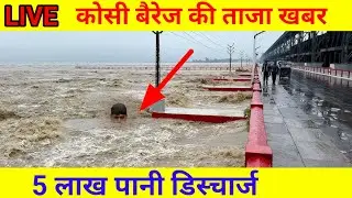Kosi barrage news today कोसी नदी की ताजा खबर nepal flood Bihar flood 