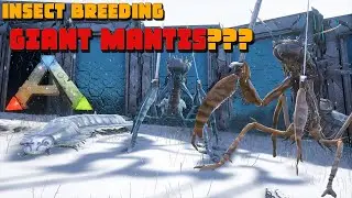 ARK: Insect Breeding A GIANT MANTIS!! & Arthropluera Mutations!!