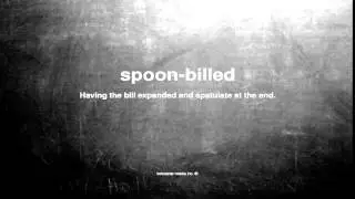 What does spoon-billed mean