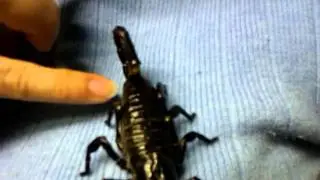VIDEO0049