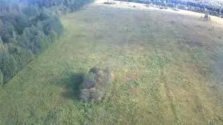 Eachine EX4 3km forest flight.