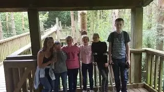 family day out @ salcey forest