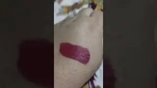 Swiss Beauty HD Matte Lipstick  Bold Wine #shortsvideo#lipstickswatch