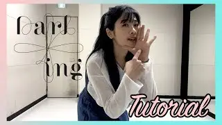 [Tutorial] SVT (세븐틴) 'Darl+ing' 教學 | Seventeen 'Darl+ing' Tutorial | (Chorus) (Mirrored)