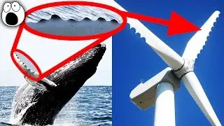 Amazing Technologies Inspired by Nature