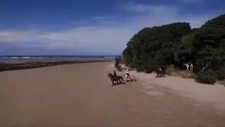 Wild Coast Horse Riding Adventures