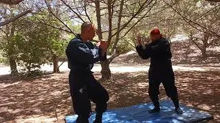 Shadow Hawk koga Ryu Ninjutsu training. Basic  form of Ka Ryu. Fire Dragon technique.