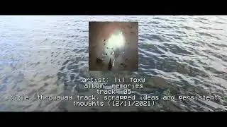 lil foxy - throwaway track, scrapped ideas and persistent thoughts