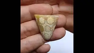 FC 049 Translucent Agatized Fossil Coral Akik Teratai Tembus Cahaya