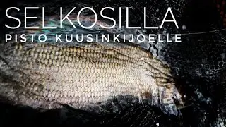 Pisto Kuusinkijoelle | Selkosilla