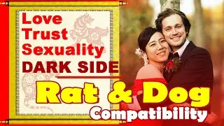 Rat and Dog Compatibility in Love, Life, Trust, and Intimacy | Rat Dog Chinese Zodiac Compatibility
