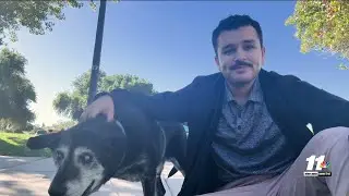 Man rescues blind dog after finding him abandoned near lake