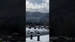 📍Rustic Snow Charm of  North Gate, Washington #snowfall  #shorts #washington #northgate