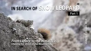 In Search of Snow Leopard Part 1 | Himalayan Wildlife Expedition | Khyber Gojal, Hunza #snowleopard